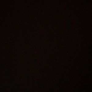 Meet your Posher, Freddy